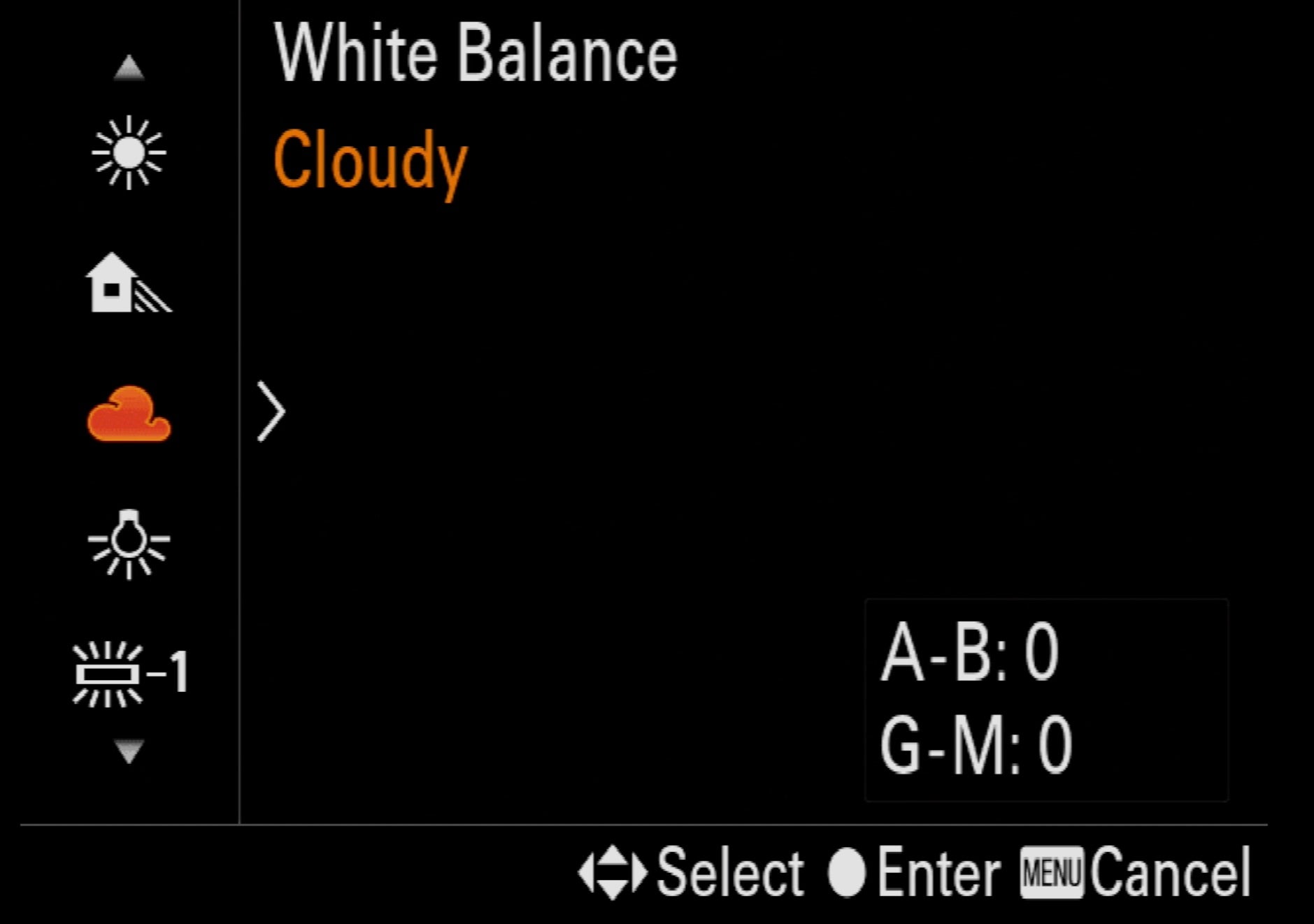 Alpha-Universe-Macro-Camera-Setup-White-Balance-Cloudy.jpeg