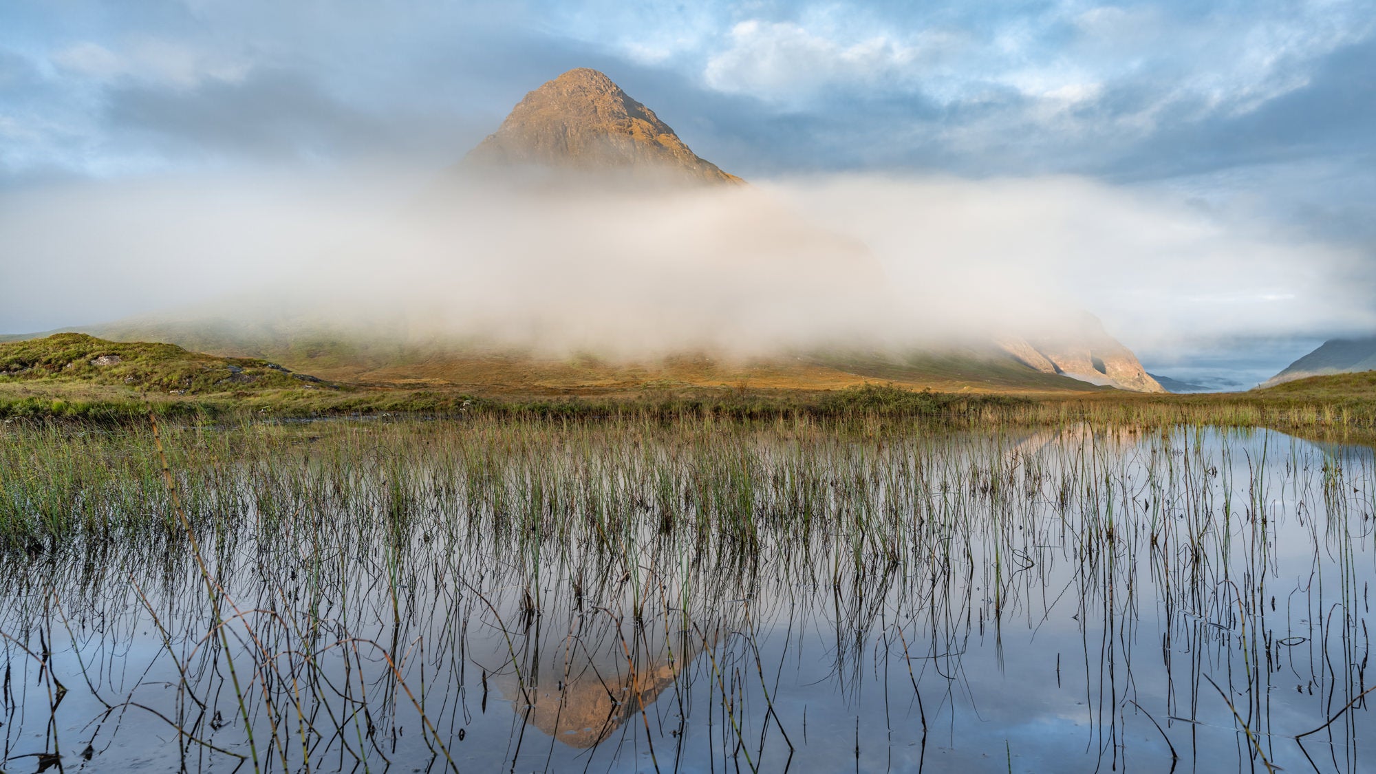 Photo by Andrew Macdonald. Sony Alpha 1. Sony 24-70mm f/2.8 G Master.