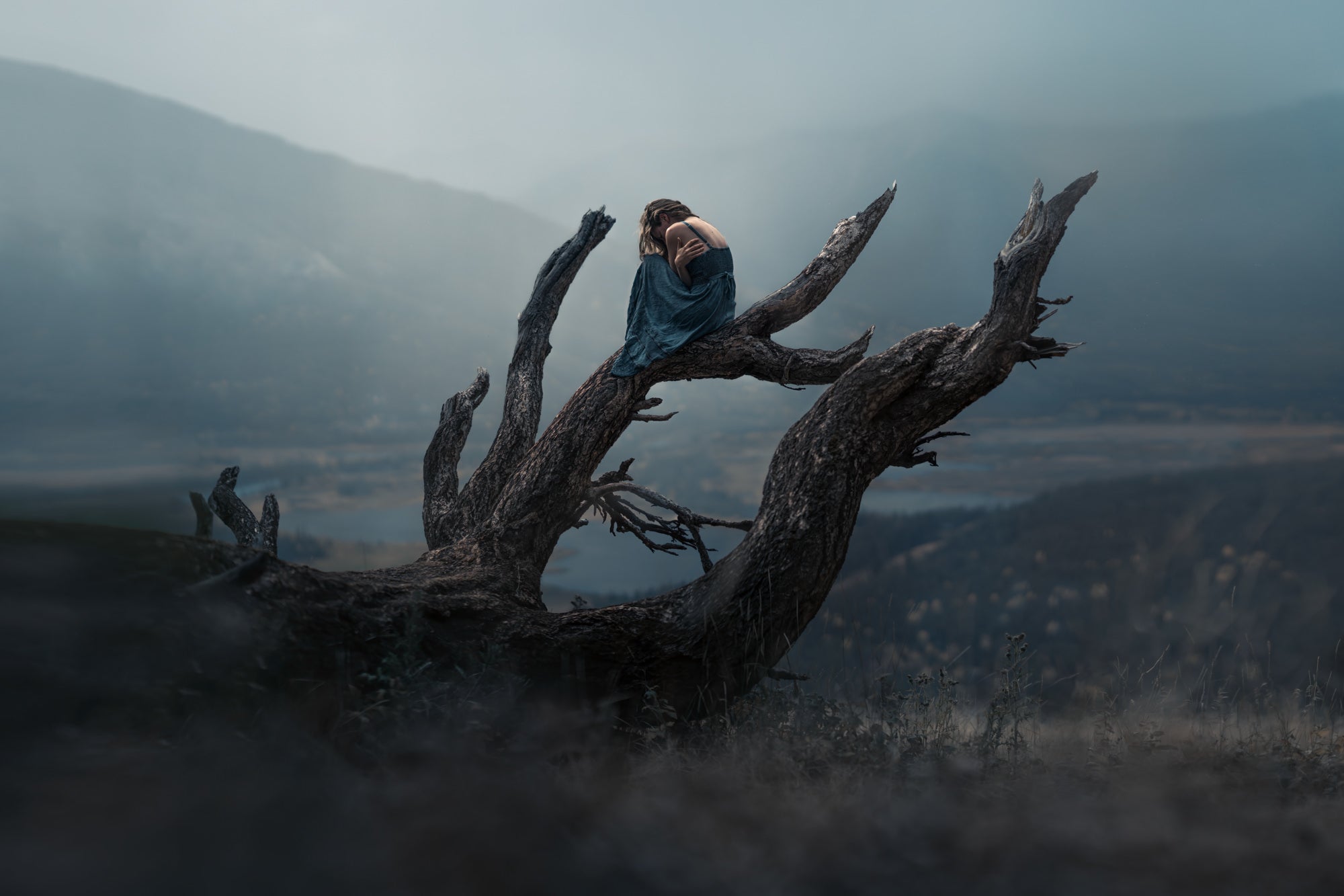 Photo by Lizzy Gadd. Sony Alpha 7R III. Sony 85mm f/1.4 G Master. 1/3200-sec., f/1.6, ISO 50